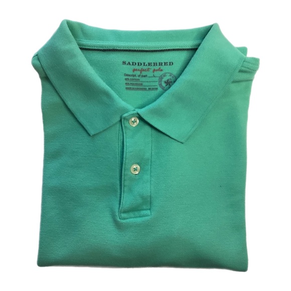 Saddlebred L Perfect Polo Mens Teal Green Shirt Golf Casual EUC - Picture 3 of 15